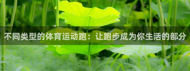 bbin视讯游戏平台