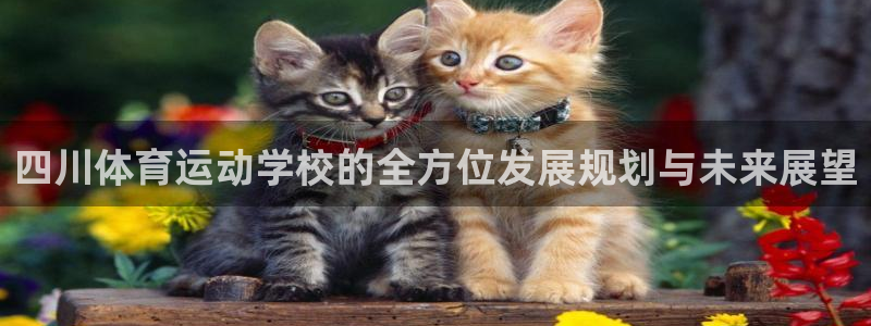 bbin视讯下