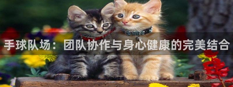 bbin视讯