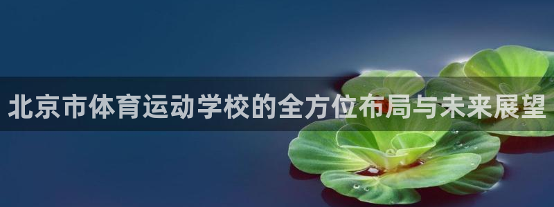 bbin视讯下