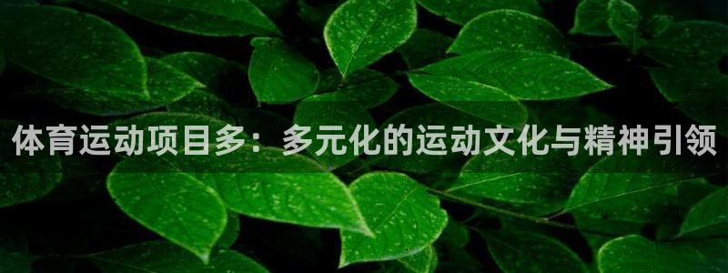 bbin视讯下