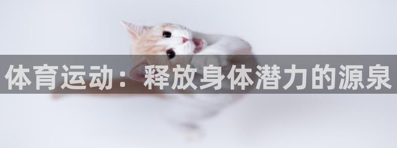 bbin视讯